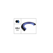 GSJ