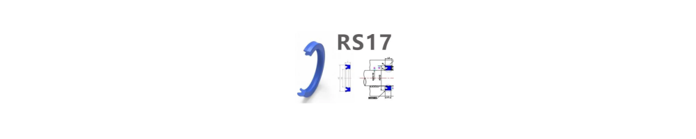 RS17